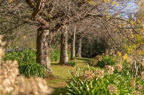 Photo of property in 218 Masterton Stronvar Road, Te Ore Ore, Masterton, 5890