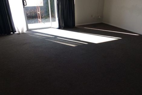 Photo of property in 3/17 Church Street, Hampstead, Ashburton, 7700