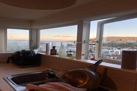 Photo of property in 66 Hankey Street, Mount Cook, Wellington, 6011