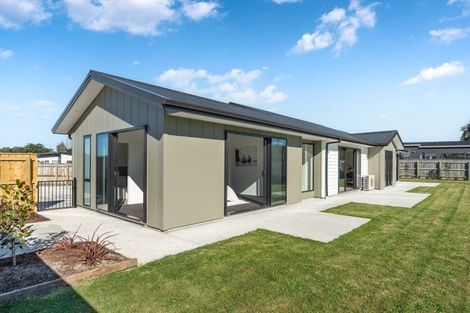 Photo of property in 50e Taranaki Street, Kuripuni, Masterton, 5810