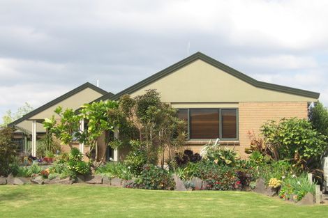 Photo of property in 69 Plateau Heights, Mount Maunganui, 3116