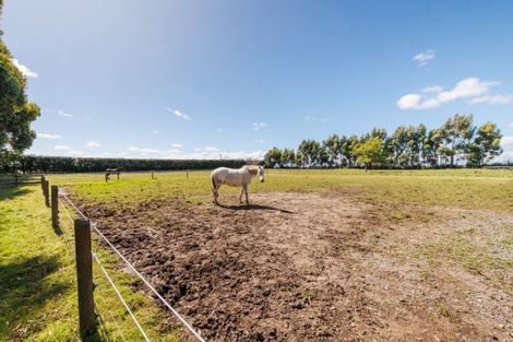 Photo of property in 237 Ngaio Road, Halcombe, Palmerston North, 4479