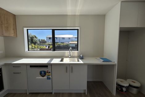 Photo of property in 45b Ryan Street, Phillipstown, Christchurch, 8011