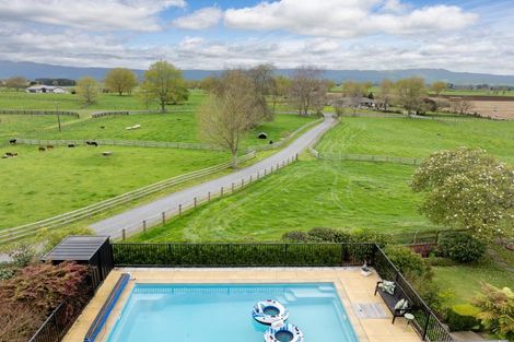 Photo of property in 115 Gunn Road, Matamata, 3472