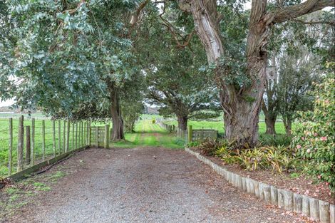 Photo of property in 236 Oturoa Road, Poroutawhao, Levin, 5572