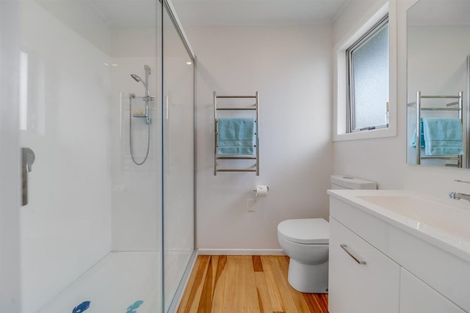 Photo of property in 17 Chelmsford Street, Silverdale, Hamilton, 3216