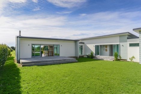 Photo of property in 59 Shoal Beach Road, Aramoana, Omakere, 4271