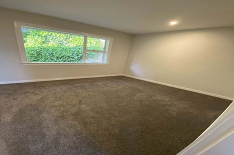 Photo of property in 1 Maori Road, Dunedin Central, Dunedin, 9016