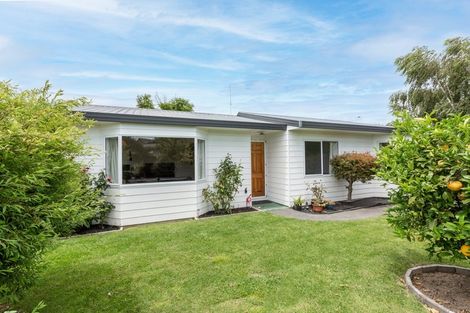 Photo of property in 206 Avondale Road, Greenmeadows, Napier, 4112