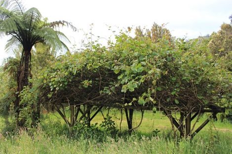 Photo of property in 3094 Coast Road, Barrytown, Runanga, 7873