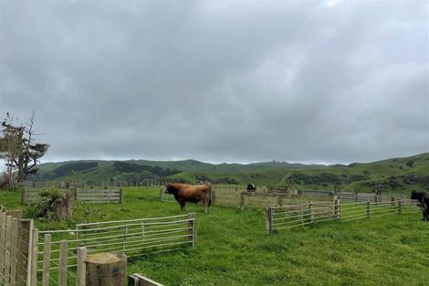 Photo of property in 429 Te Akau South Road, Te Akau, Ngaruawahia, 3793