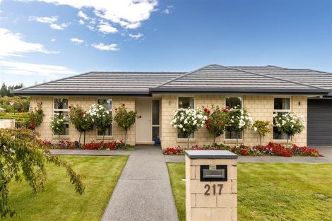 Photo of property in 217 Taylor Pass Road, Witherlea, Blenheim, 7201