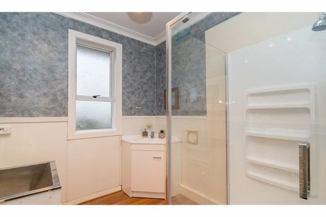 Photo of property in 117 Riselaw Road, Calton Hill, Dunedin, 9012