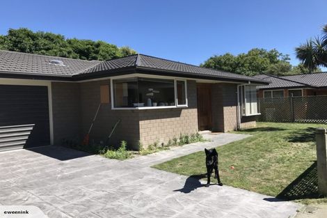 Photo of property in 35b Oxley Avenue, St Albans, Christchurch, 8014