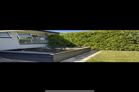 Photo of property in 1/1007 Colombo Street, St Albans, Christchurch, 8014