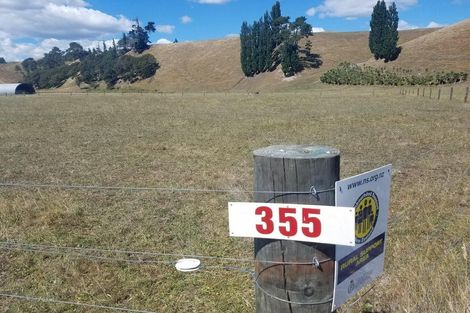 Photo of property in 355 Horahora Road, Piarere, Tirau, 3484