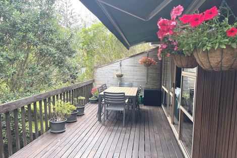 Photo of property in 115 Stredwick Drive, Torbay, Auckland, 0630