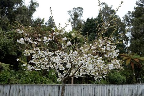 Photo of property in 13 Kawatiri Place, Westport, 7825