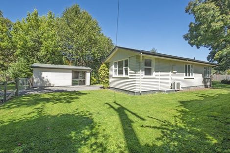 Photo of property in 12 Tekoa Street, Waiau, 7332