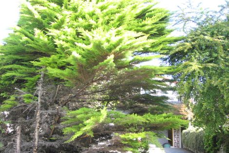 Photo of property in 48 Douglas Road, Wakatu, Nelson, 7011