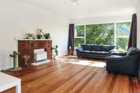 Photo of property in 19 Johnston Street, Foxton, 4814