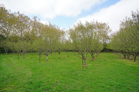 Photo of property in 420 Mcivor Road, Myross Bush, Invercargill, 9876