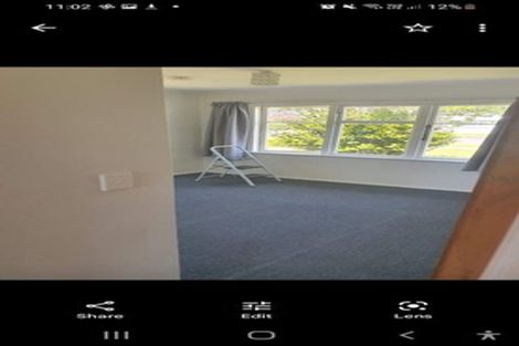 Photo of property in 42 Graham Street, Levin, 5510