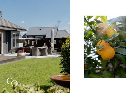 Photo of property in 26 Kildonan Place, Bethlehem, Tauranga, 3110