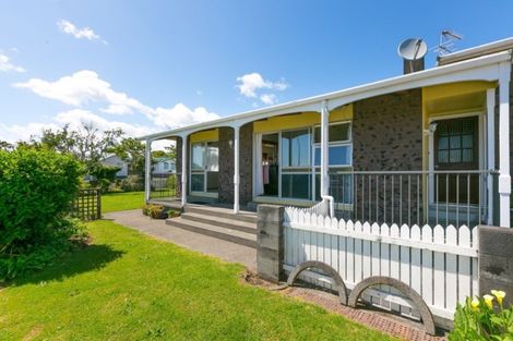 Photo of property in 20 Leon Place, Waitara, 4320