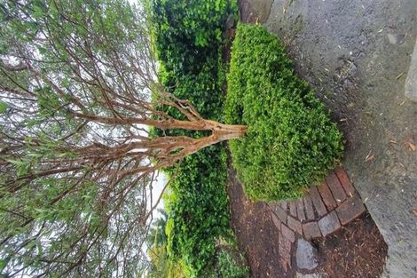 Photo of property in 3 Alma Road, Gonville, Whanganui, 4501