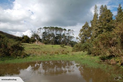 Photo of property in 229 Settlement Road, Kaiwaka, 0573