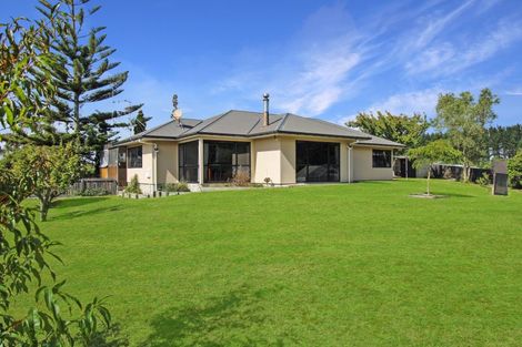 Photo of property in 131 Palmer Road, Foxton Beach, Foxton, 4891