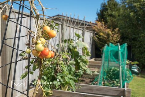 Photo of property in 31 Royal Street, Upper Hutt Central, Upper Hutt, 5018