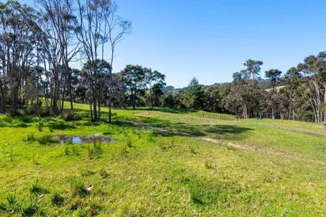 Photo of property in 231a Wishart Road, Helensville, 0875