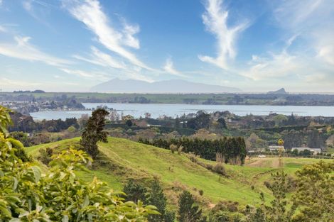 Photo of property in 257f Whakamarama Road, Whakamarama, Tauranga, 3179