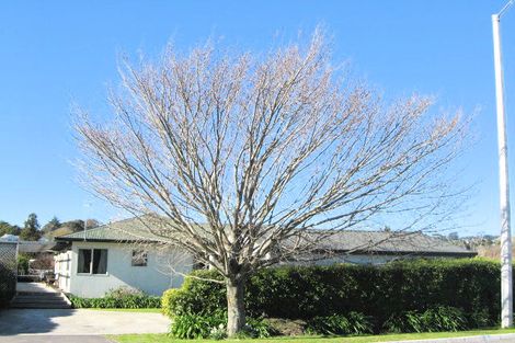 Photo of property in 43 Lucknow Road, Havelock North, 4130