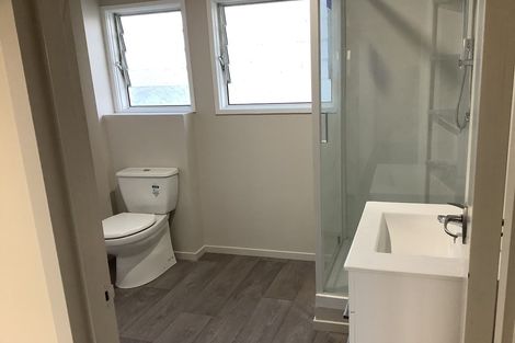 Photo of property in 12 Wellington Street, Hamilton East, Hamilton, 3216