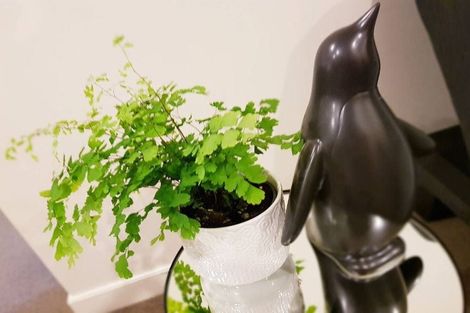 Photo of property in 1193 Hinemoa Street, Rotorua, 3010