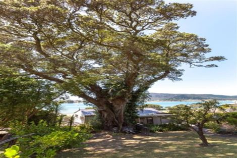 Photo of property in 119 Main Sh25 Road, Tairua, 3508