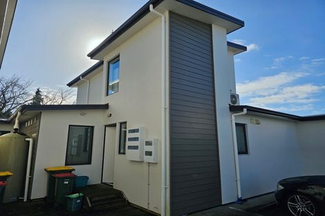 Photo of property in 17 Park Terrace, Hamilton Central, Hamilton, 3204