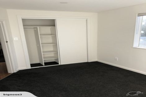 Photo of property in 146 Rossall Street, Merivale, Christchurch, 8014