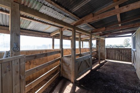 Photo of property in 264 Marychurch Road, Matangi, Hamilton, 3493