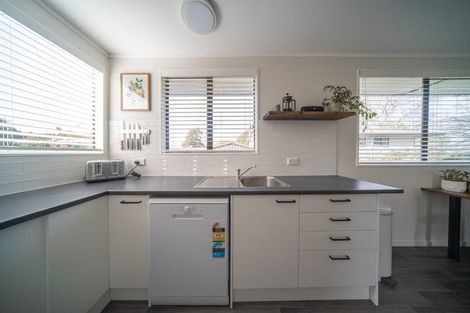 Photo of property in 45 Alison Street, Hamilton Lake, Hamilton, 3204