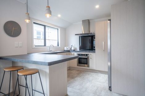 Photo of property in 169 Ruahine Street, Roslyn, Palmerston North, 4414