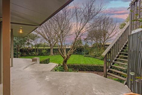 Photo of property in 41 Dittmer Drive, Awapuni, Palmerston North, 4412