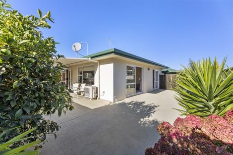 Photo of property in 1/58 Maxwell Road, Blenheim, 7201