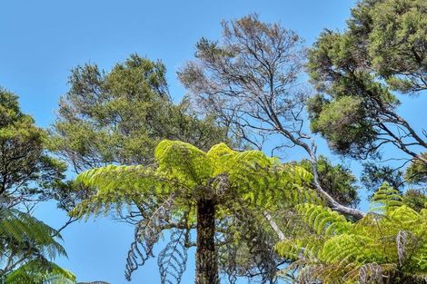 Photo of property in 42 Kopiko Road, Titirangi, Auckland, 0604