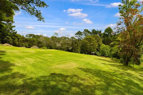 Photo of property in 113 Forest Hill Road, Henderson, Auckland, 0612