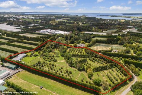 Photo of property in 63a Rea Road, Tahawai, Katikati, 3178