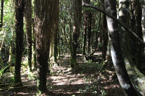 Photo of property in 552 Cuff Road, Erua, Owhango, 3990